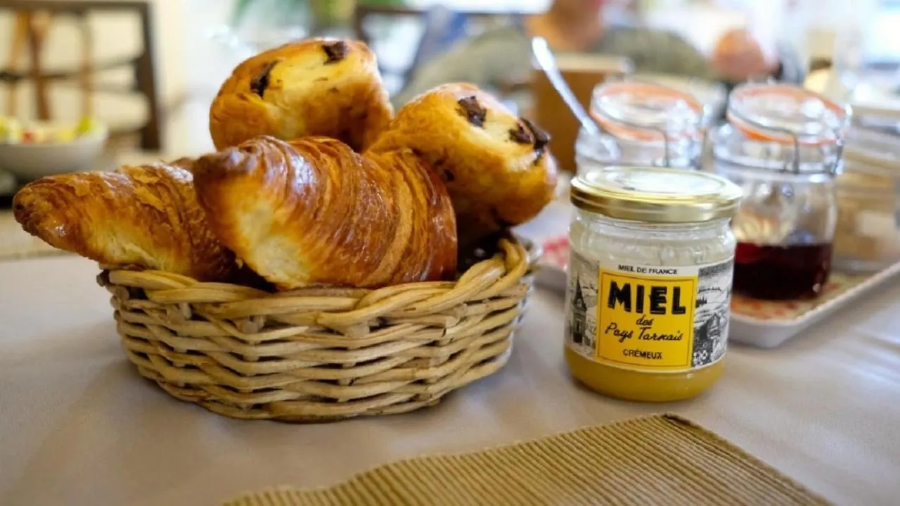 Maison D'Hotes De La Boissiere Andillac 0*,